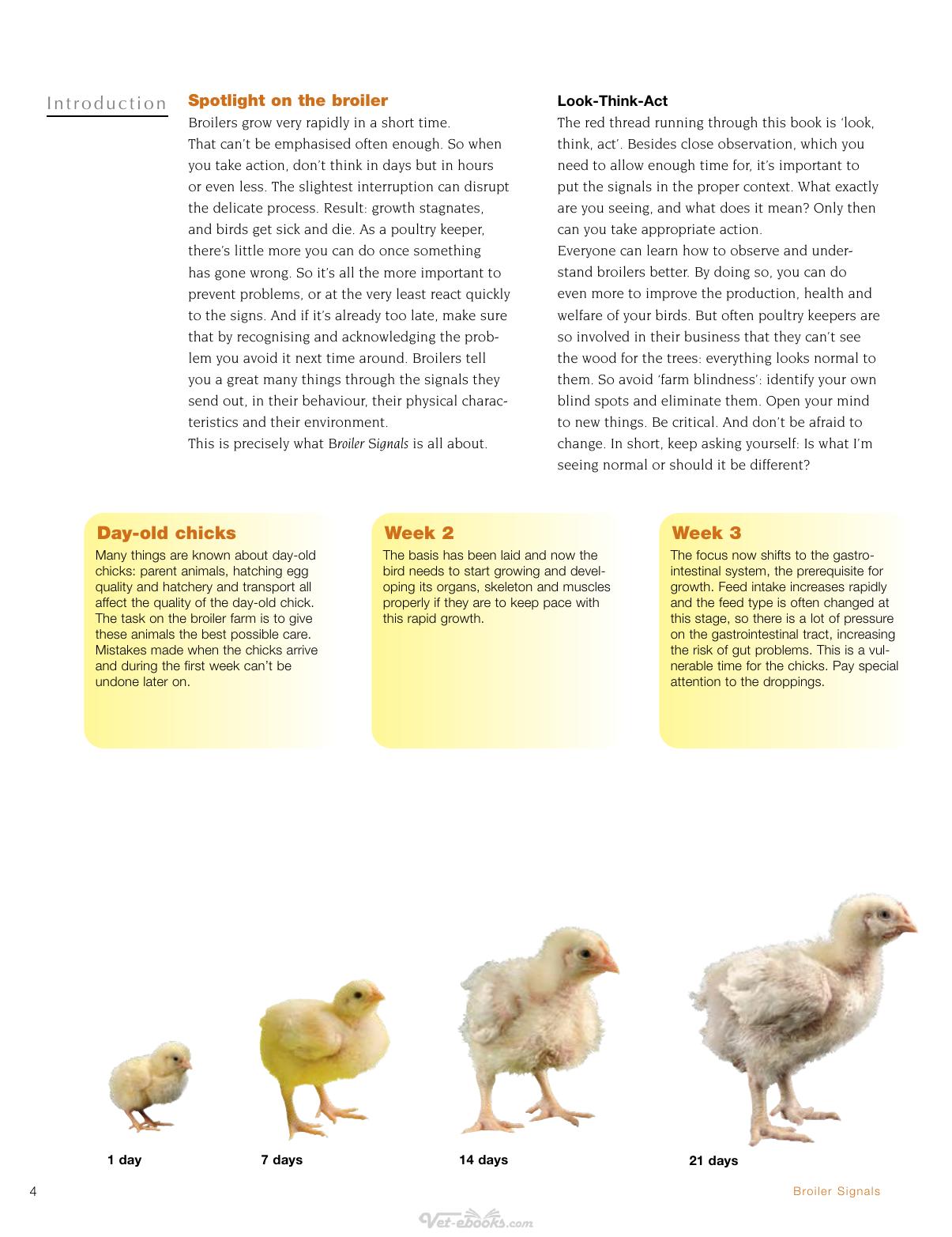 Broiler Signals A Practical Guide To Broiler Focused Management