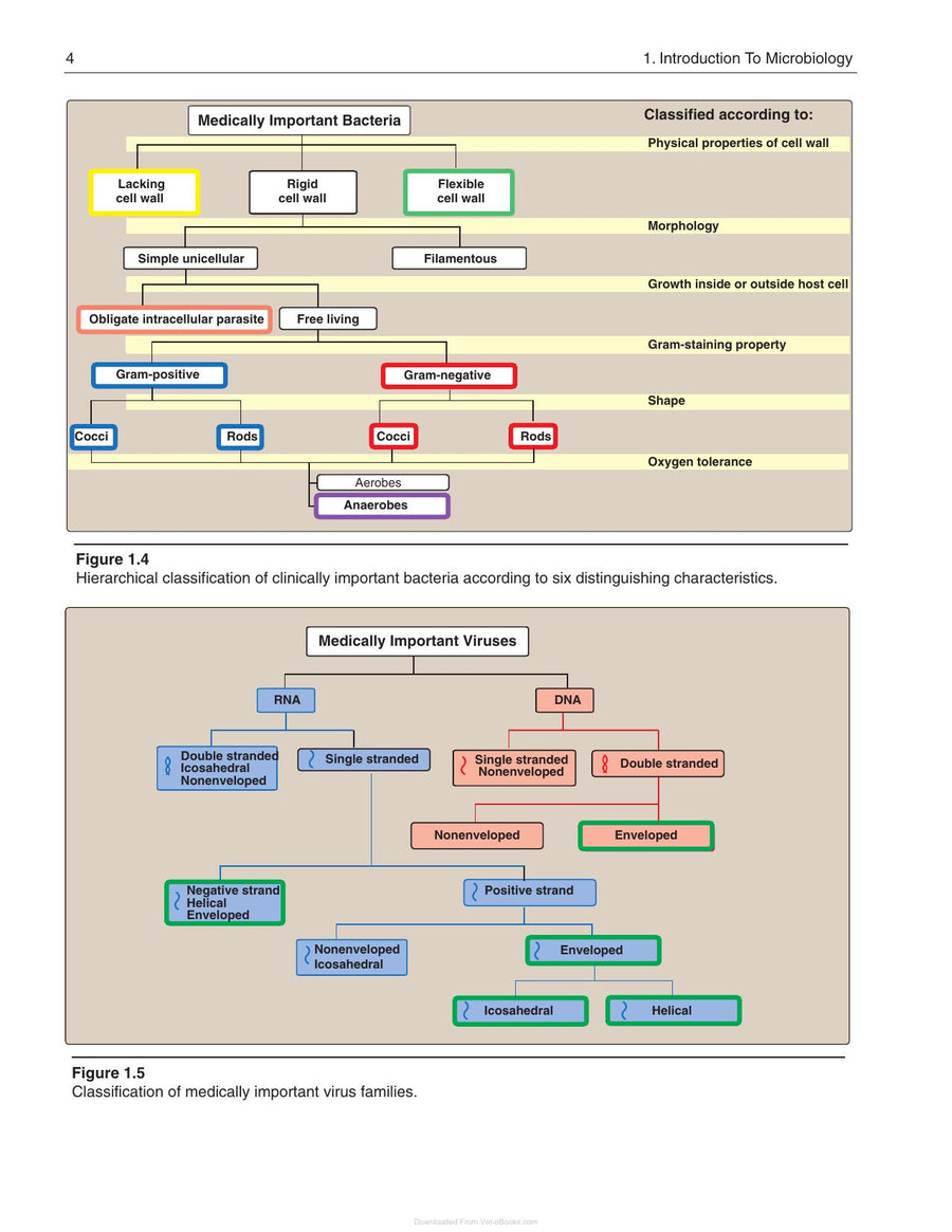 Preview page of Lippincotts Illustrated Reviews Microbiology 3rd Edition