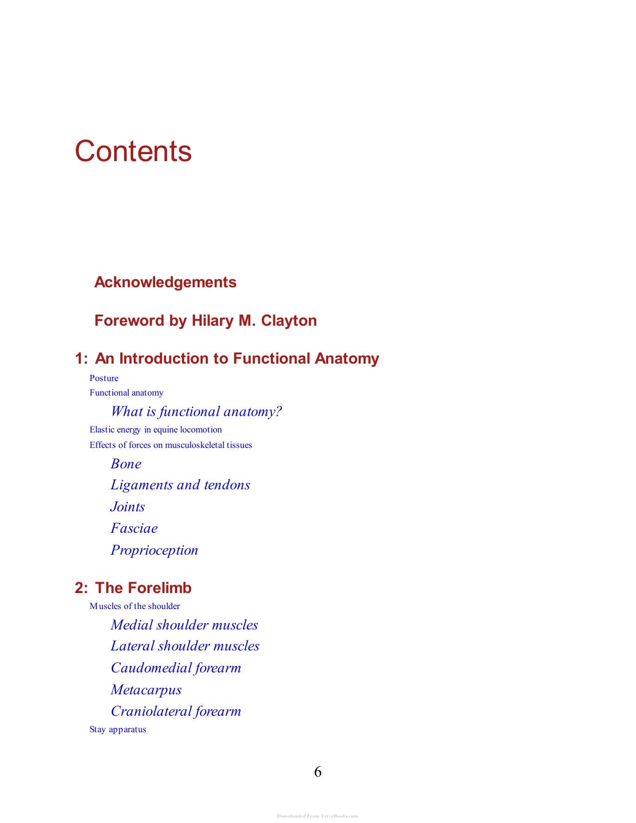 Horse Movement Structure Function And Rehabilitation