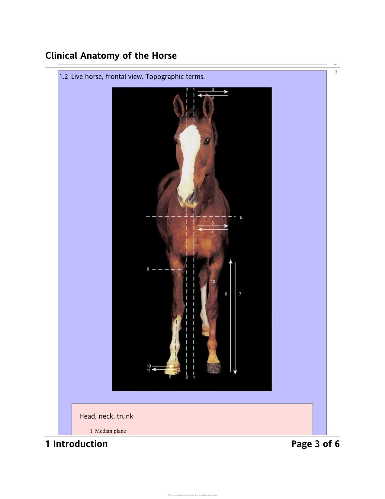 Look inside — page 6