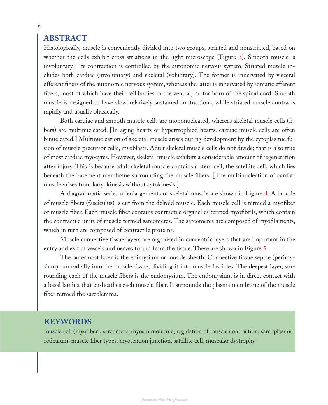 Skeletal Muscle and Muscular Dystrophy a Visual Approach