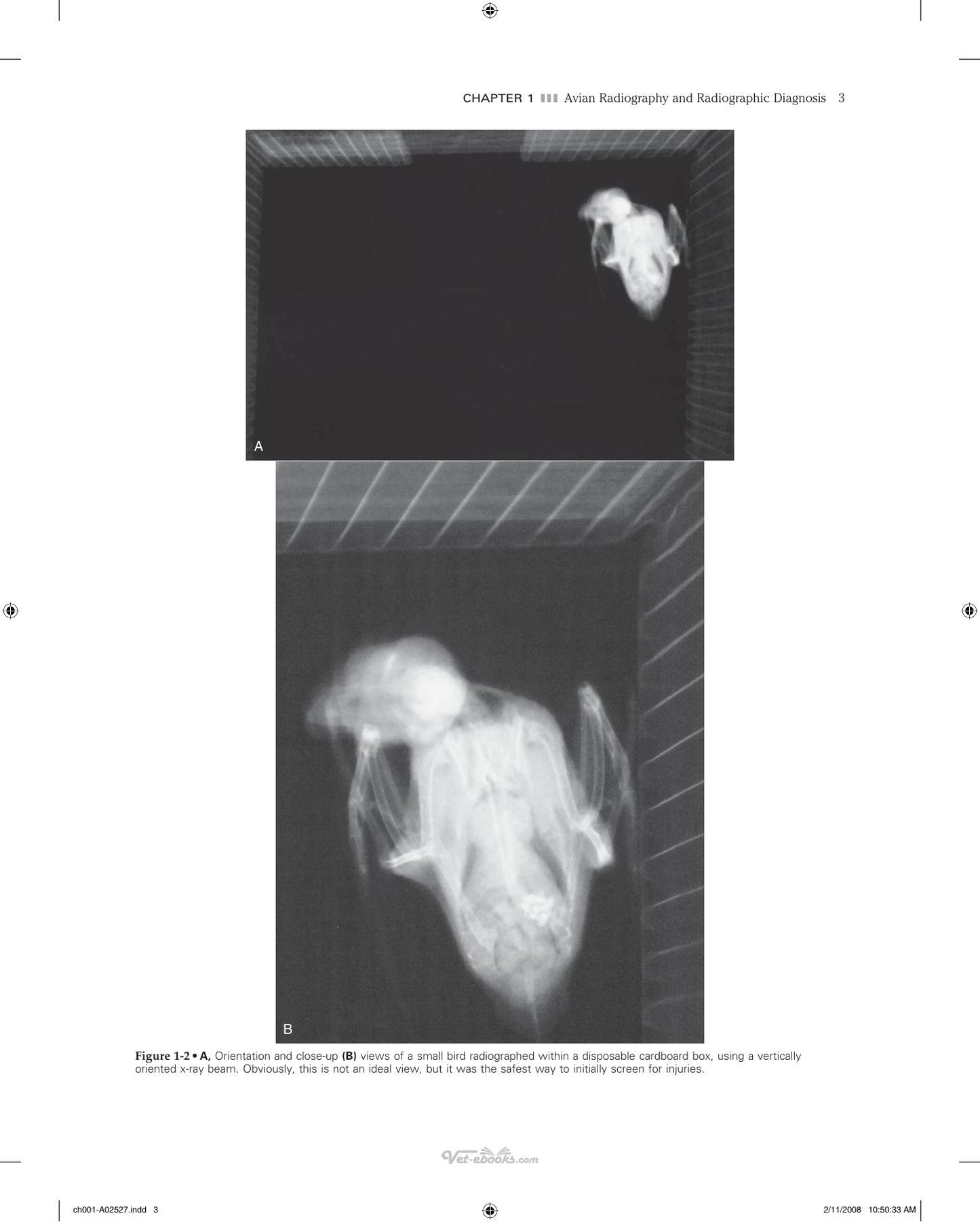 Veterinary Diagnostic Imaging Birds Exotic Pets And Wildlife