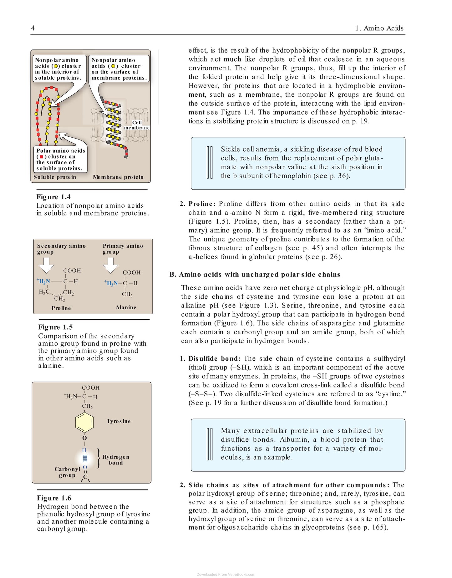 Look inside — page 6