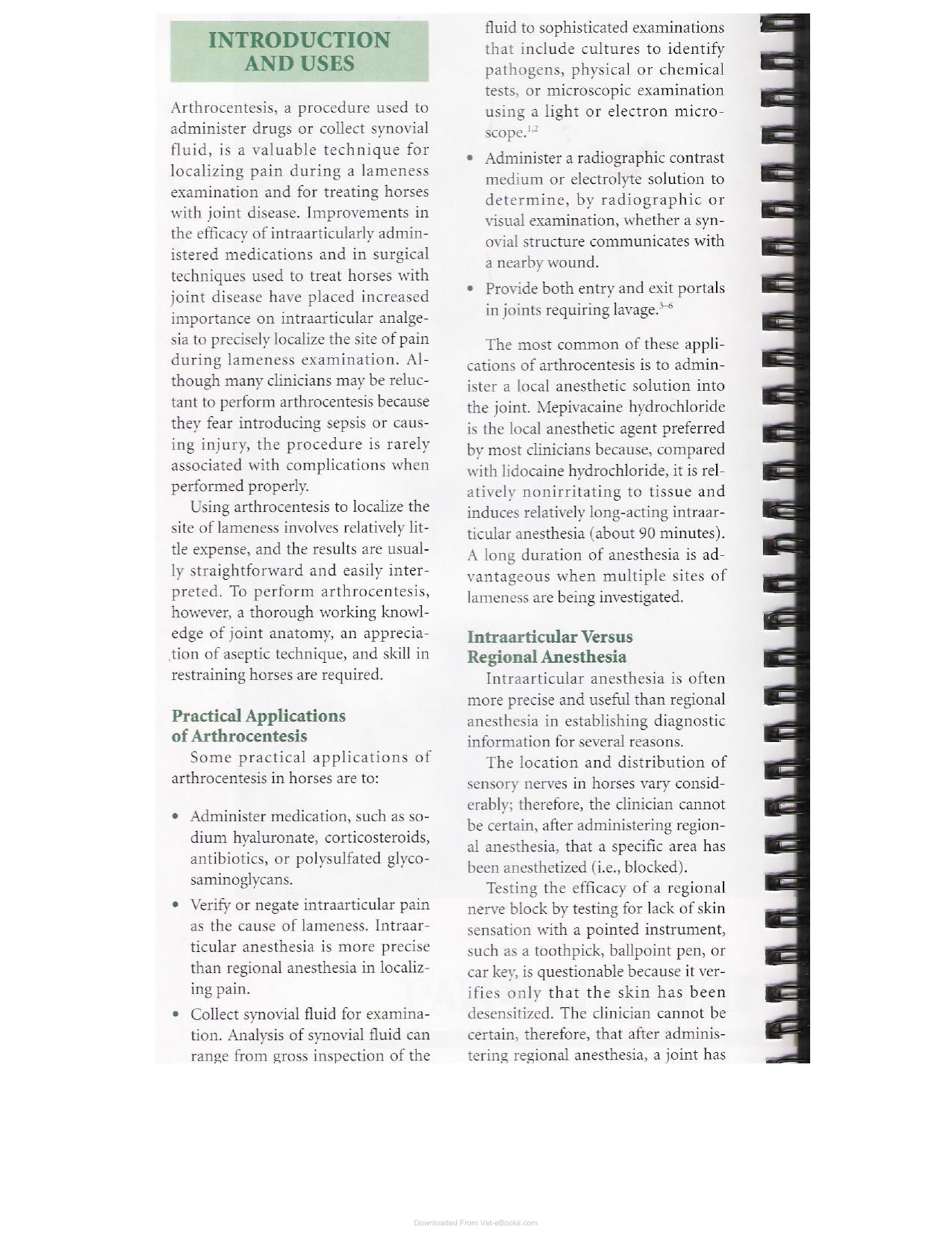 A Guide To Equine Joint Injection And Regional Anesthesia