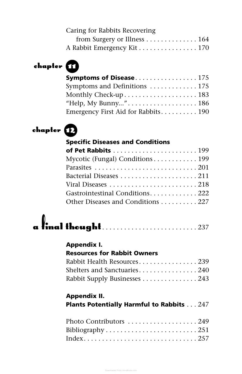 A House Rabbit Primer Understanding And Caring For Your Companion Rabbit