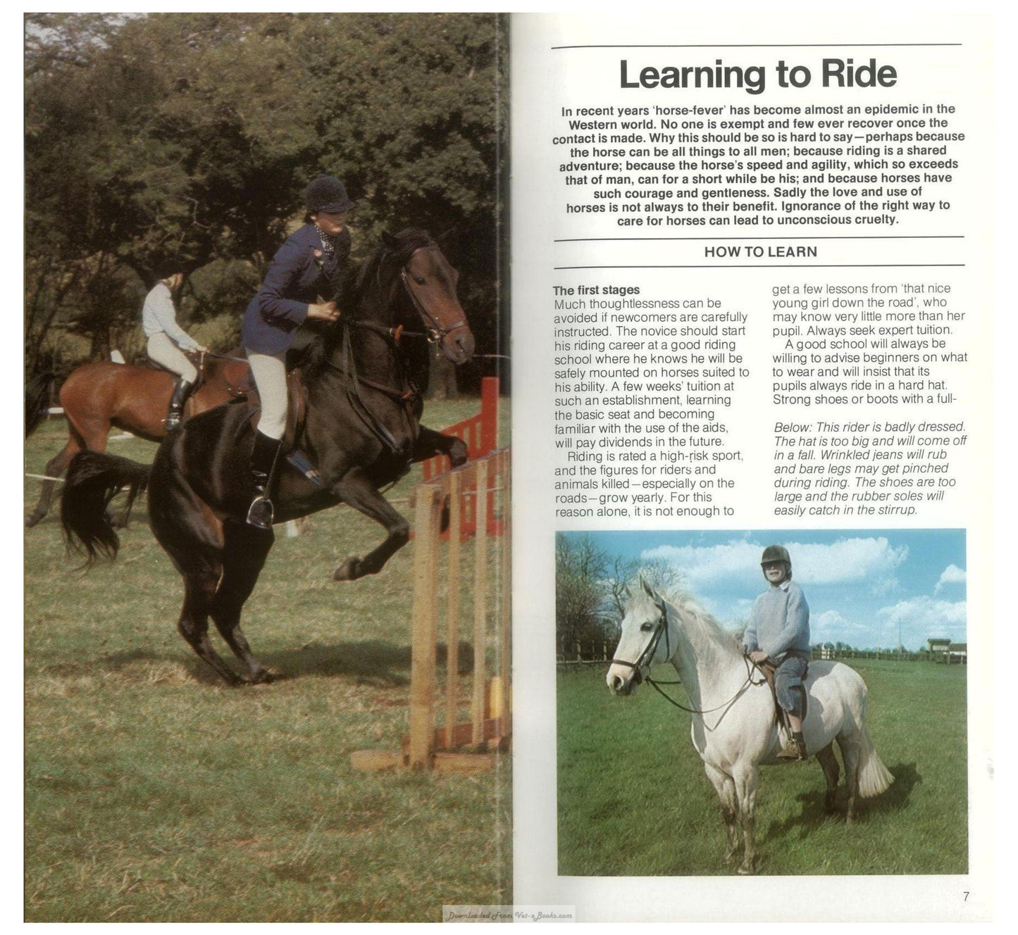 Young Riders Guide To Horse And Pony Care