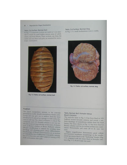 Color Atlas of Reproductive Pathology of Domestic Animals