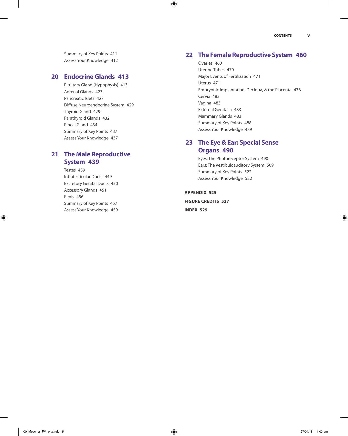 Look inside — page 6