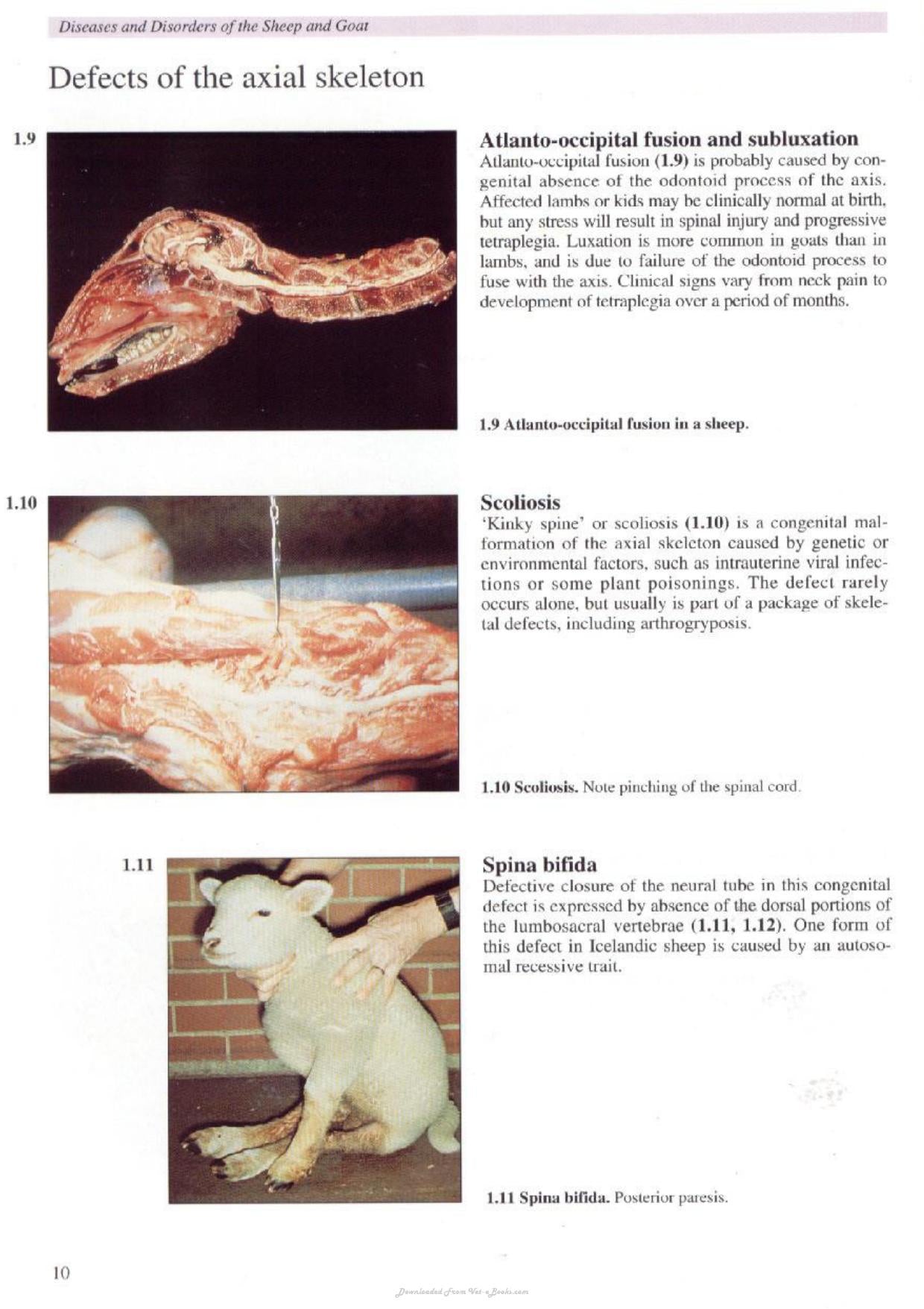 Look inside — page 6