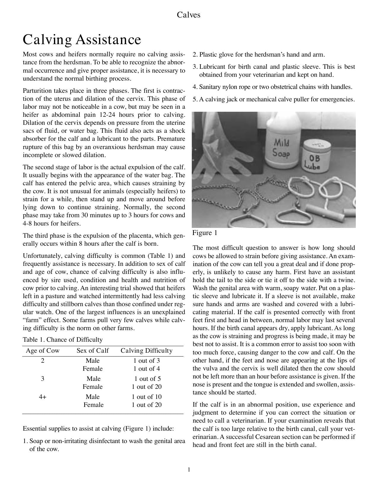 Look inside — page 6