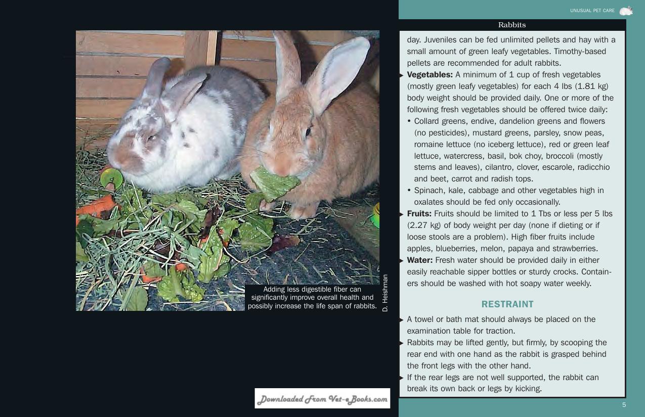 Look inside — page 6