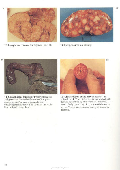 Look inside — page 6