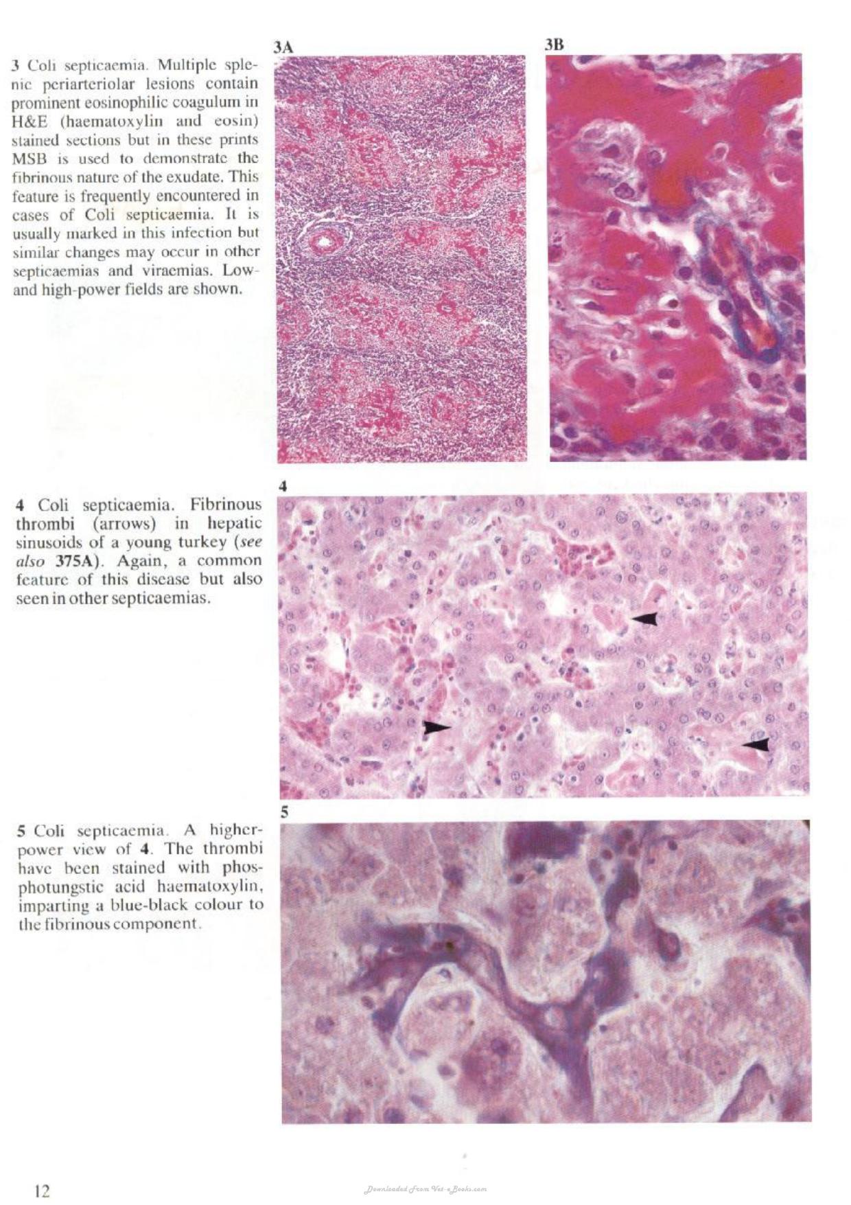 Look inside — page 6