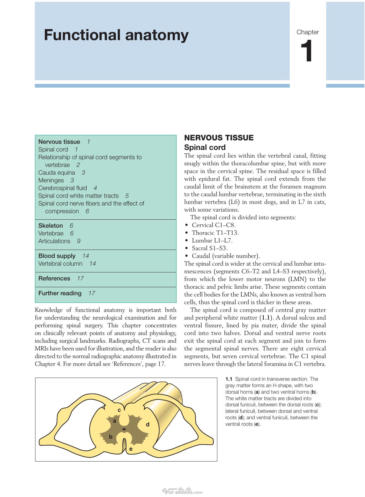 Small Animal Spinal Disorders Diagnosis And Surgery 2Nd Edition