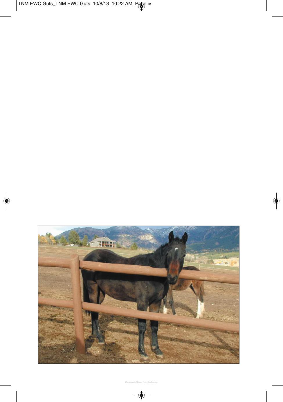 Wound Care Management For The Equine Practitioner