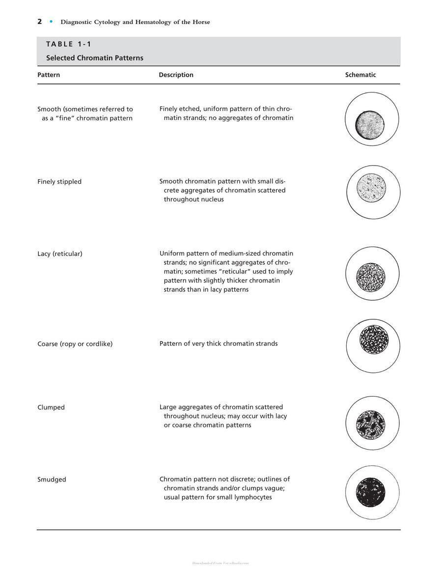 Preview page of Diagnostic Cytology and Hematology of the Horse 2nd Edition