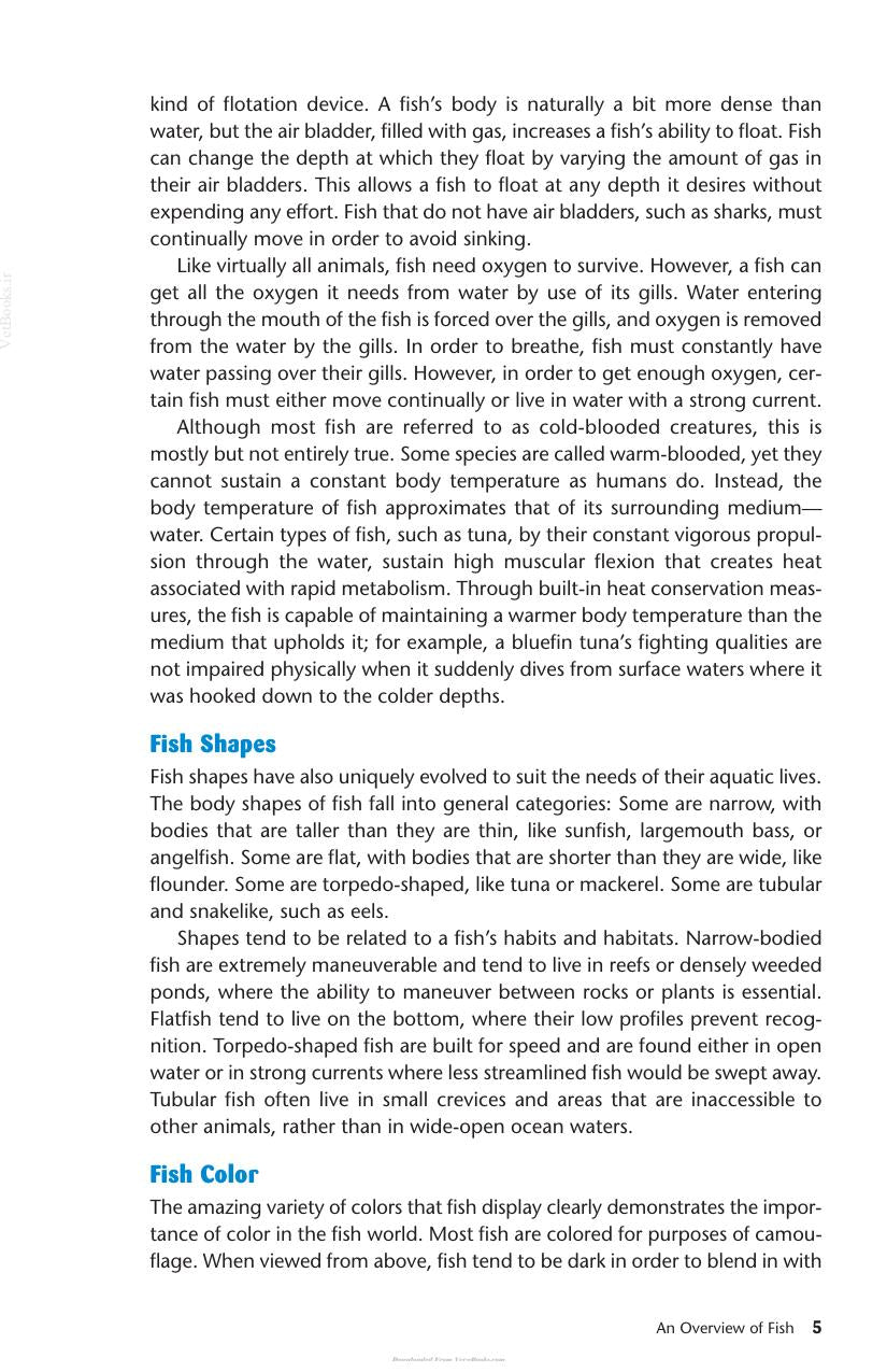 Look inside — page 7