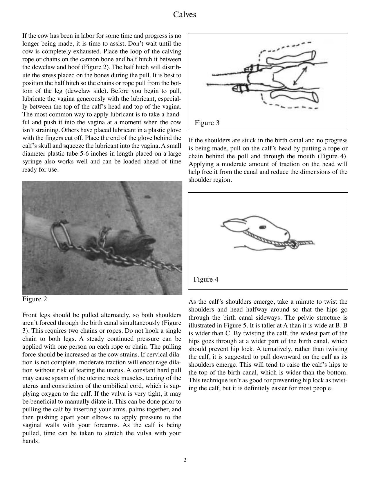 Look inside — page 7