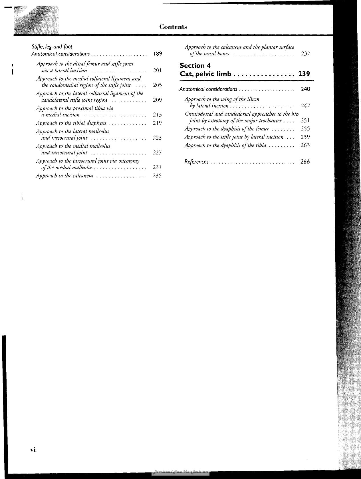 Look inside — page 7