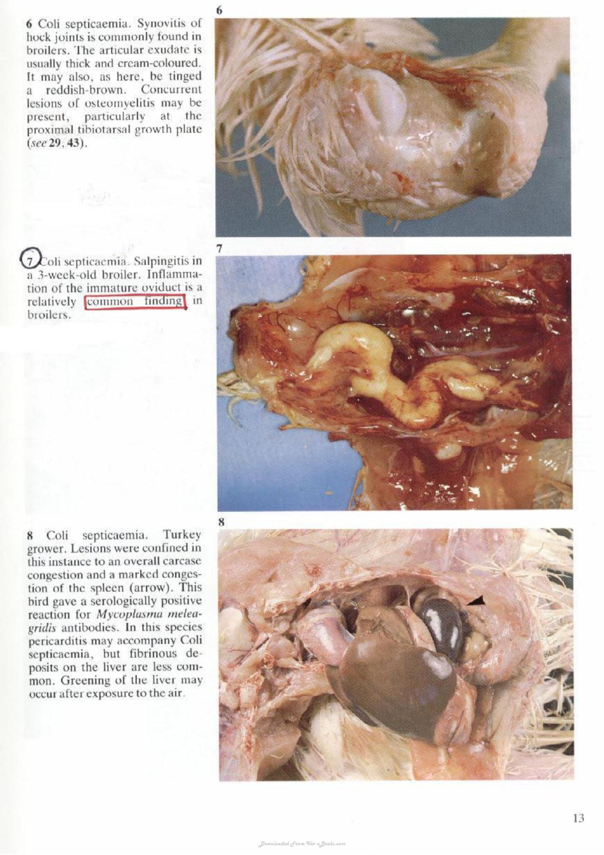 Look inside — page 7