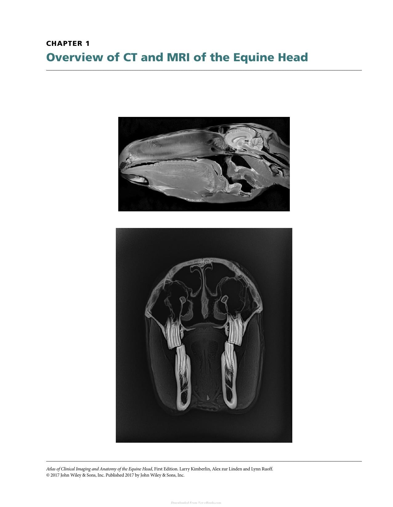 Atlas Of Clinical Imaging And Anatomy Of The Equine Head