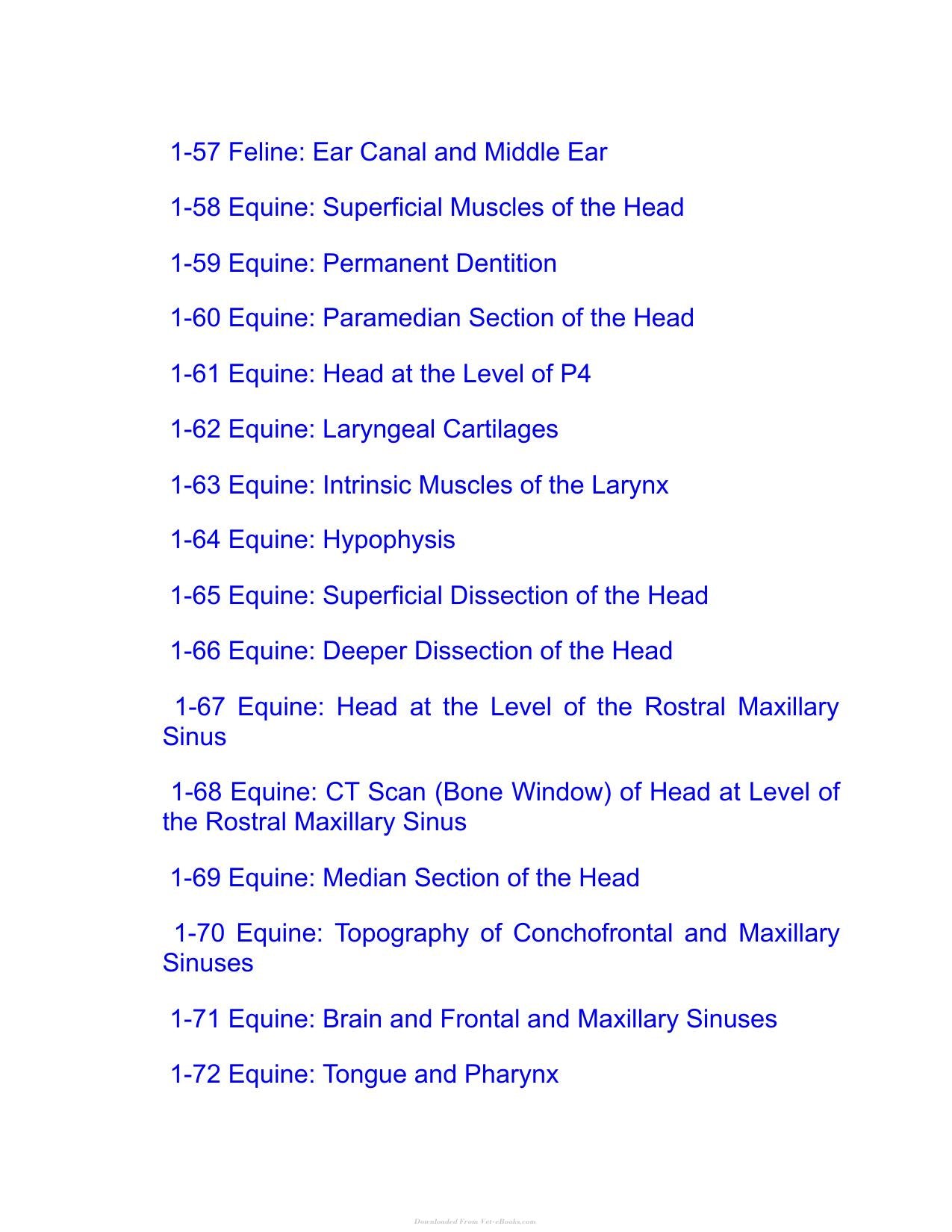 Saunders Veterinary Anatomy Flash Cards 2Nd Edition