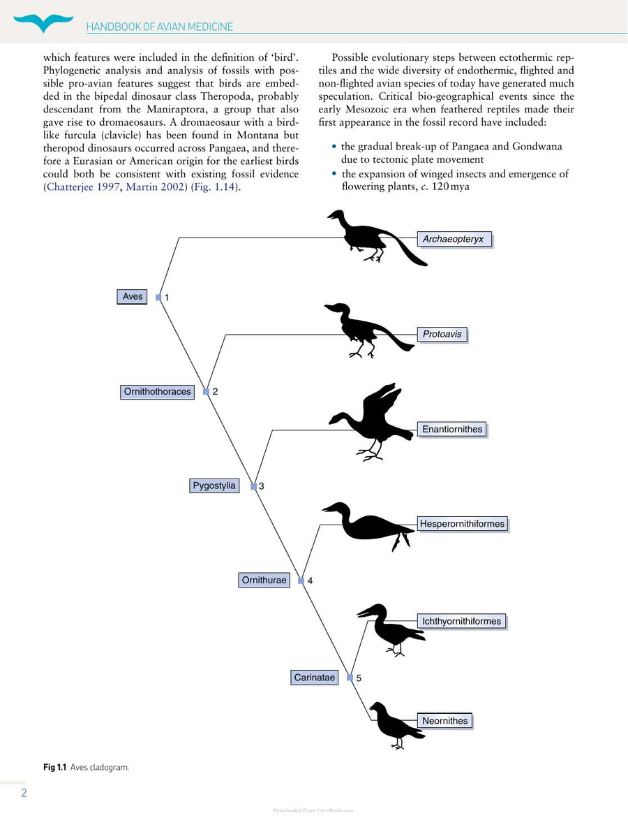 Preview page of Handbook of Avian Medicine 2nd Edition