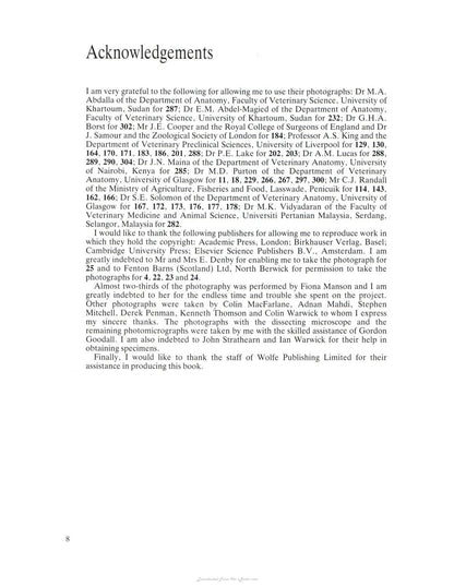 Look inside — page 7