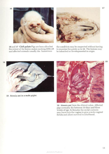 Look inside — page 7