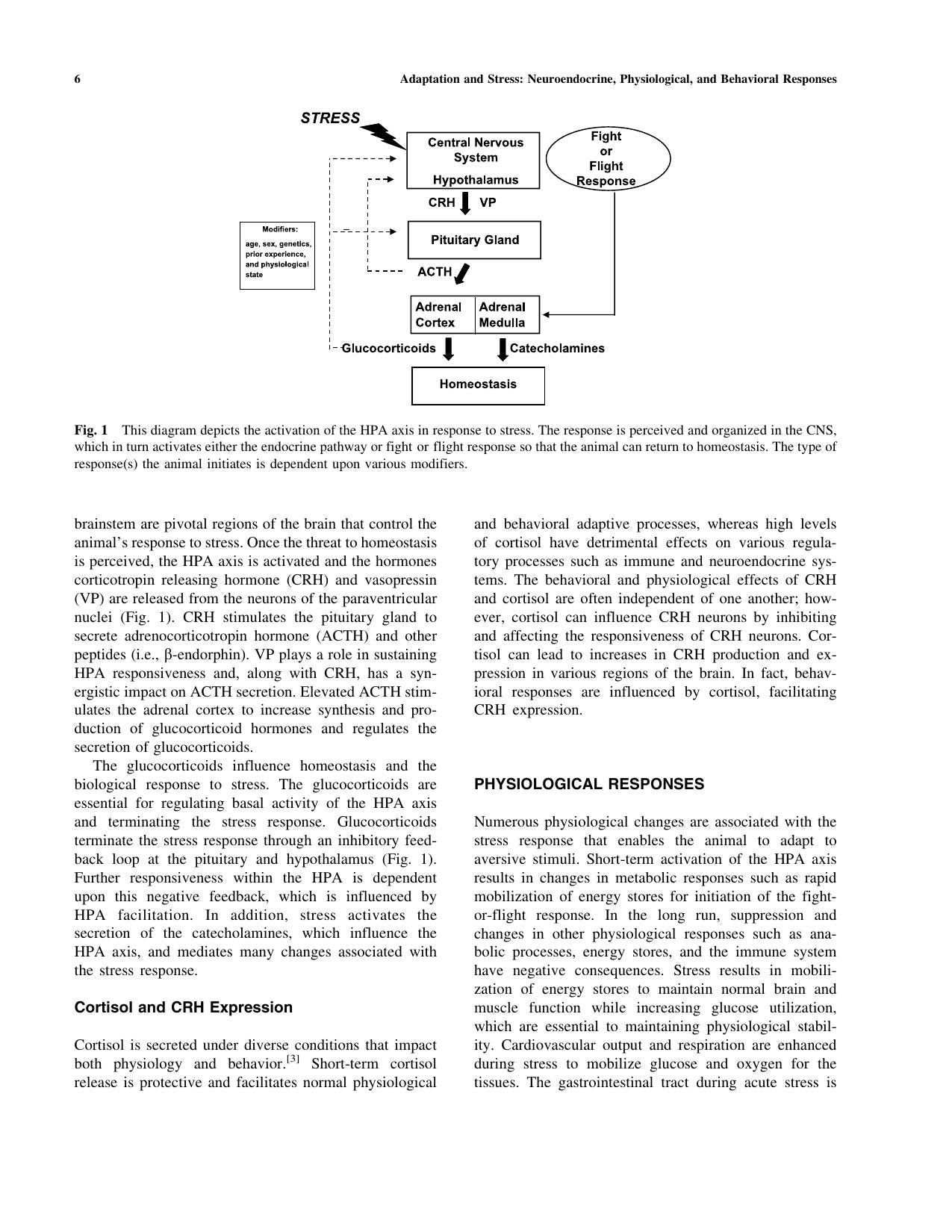 Look inside — page 7