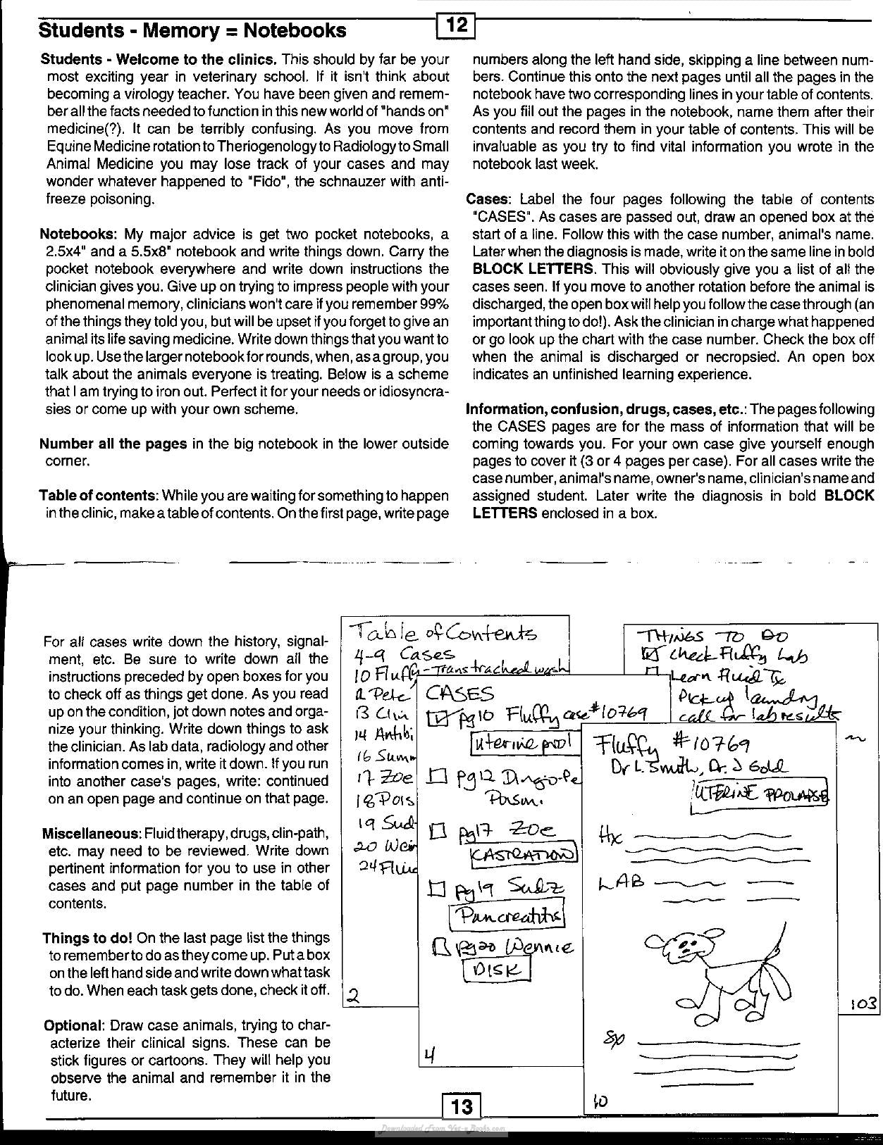 Look inside — page 7