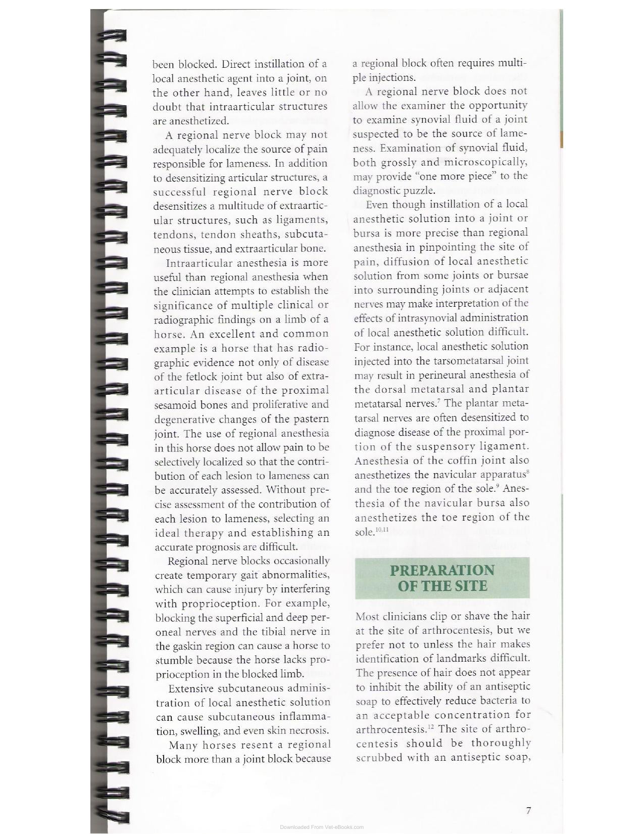 A Guide To Equine Joint Injection And Regional Anesthesia