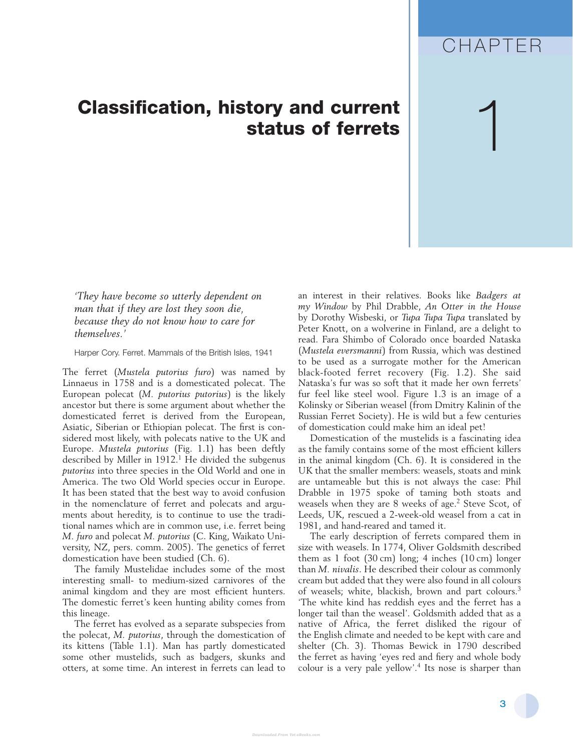 Look inside — page 7