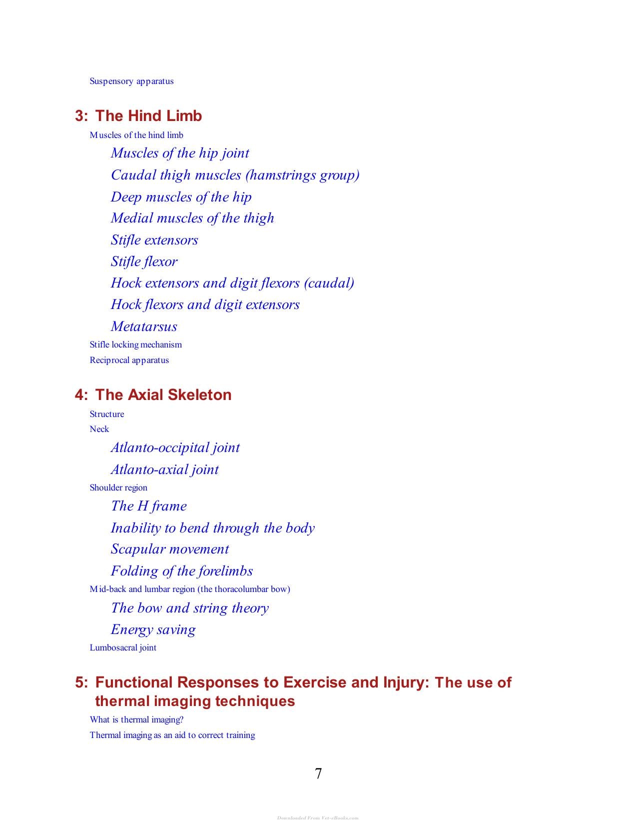 Horse Movement Structure Function And Rehabilitation