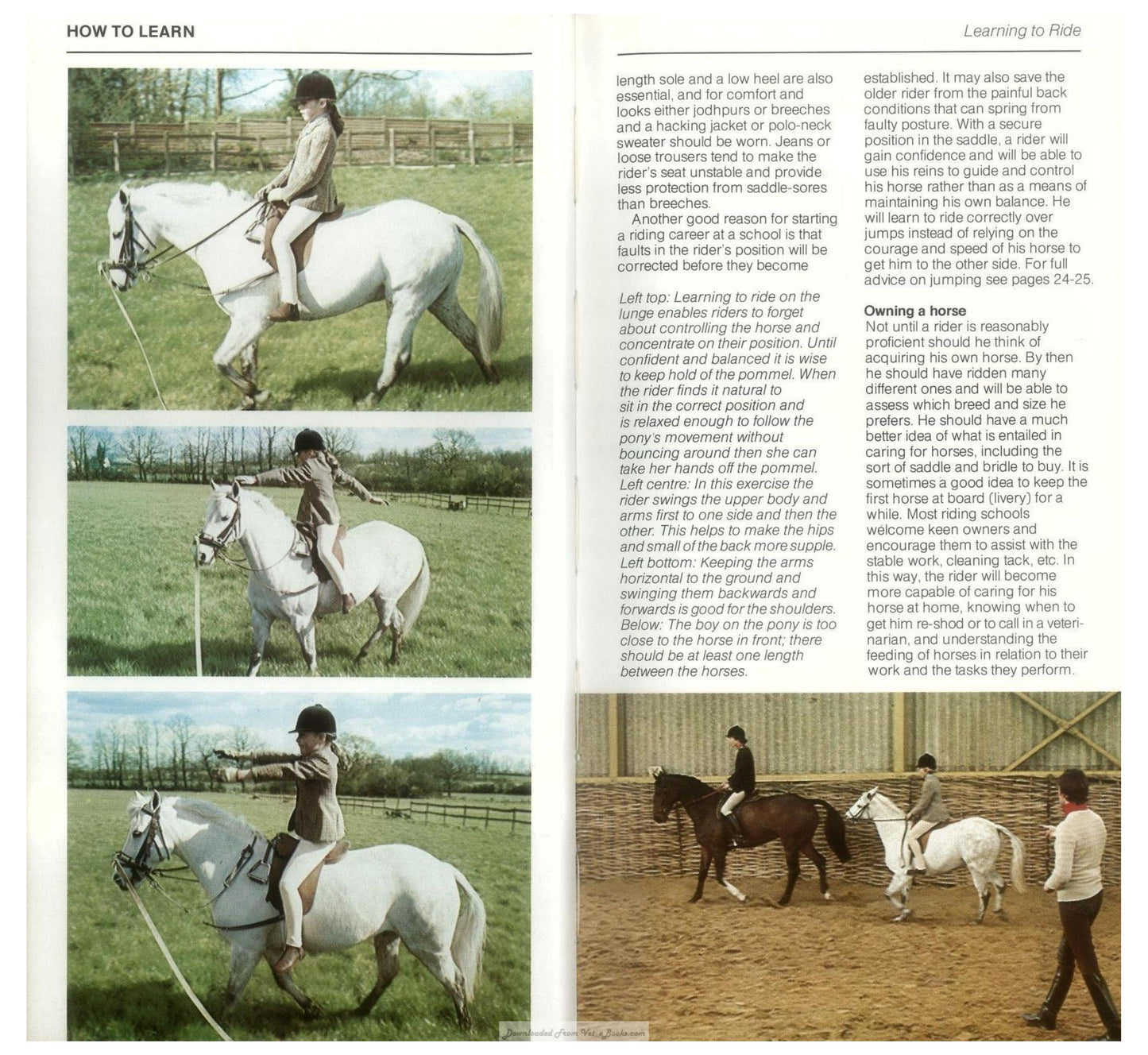 Young Riders Guide To Horse And Pony Care