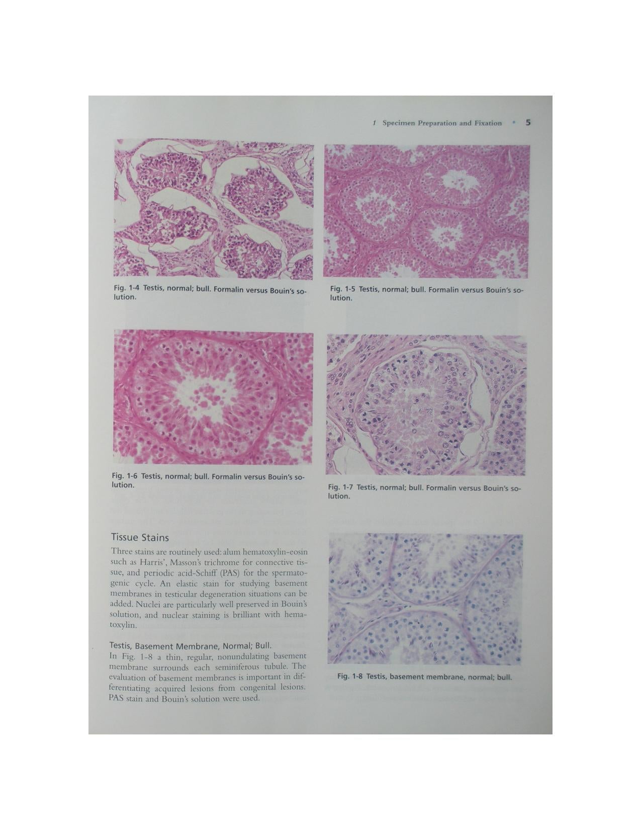 Color Atlas Of Reproductive Pathology Of Domestic Animals