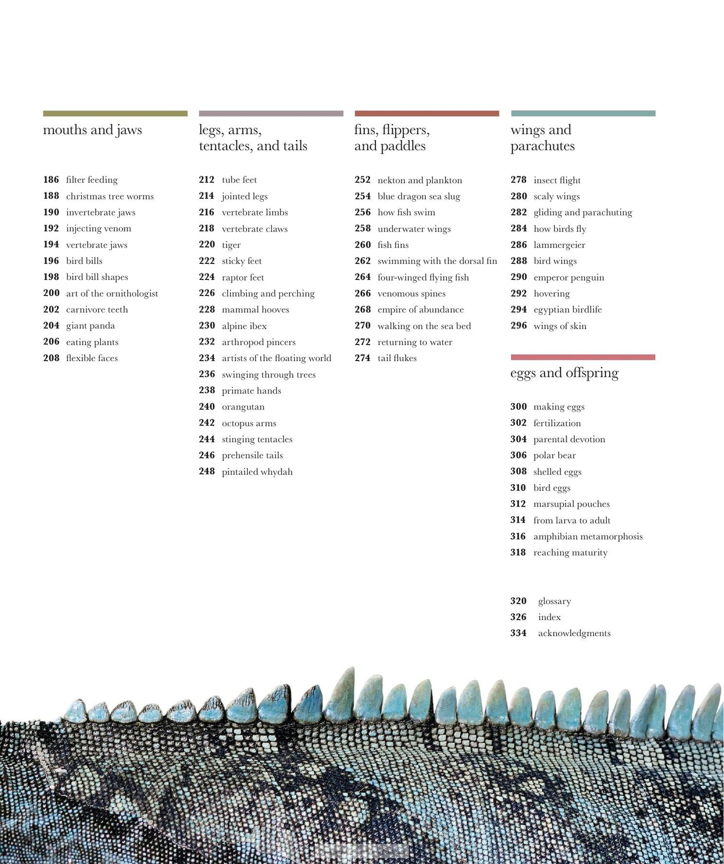 The Science Of Animals Inside Their Secret World