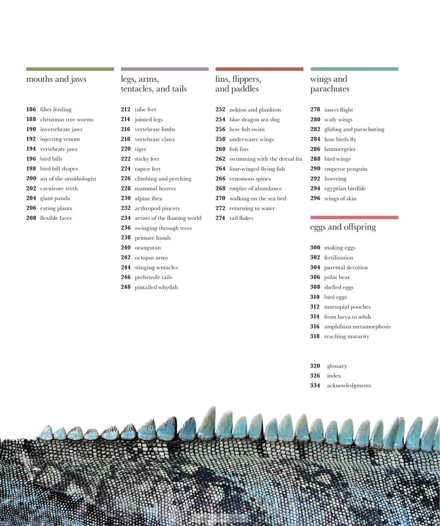 Preview page of The Science of Animals Inside Their Secret World
