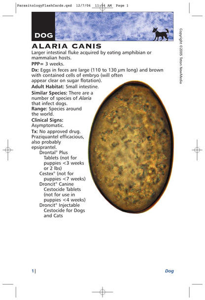 Parasitology Diagnosis and Treatment of Common Parasitisms in Dogs and Cats