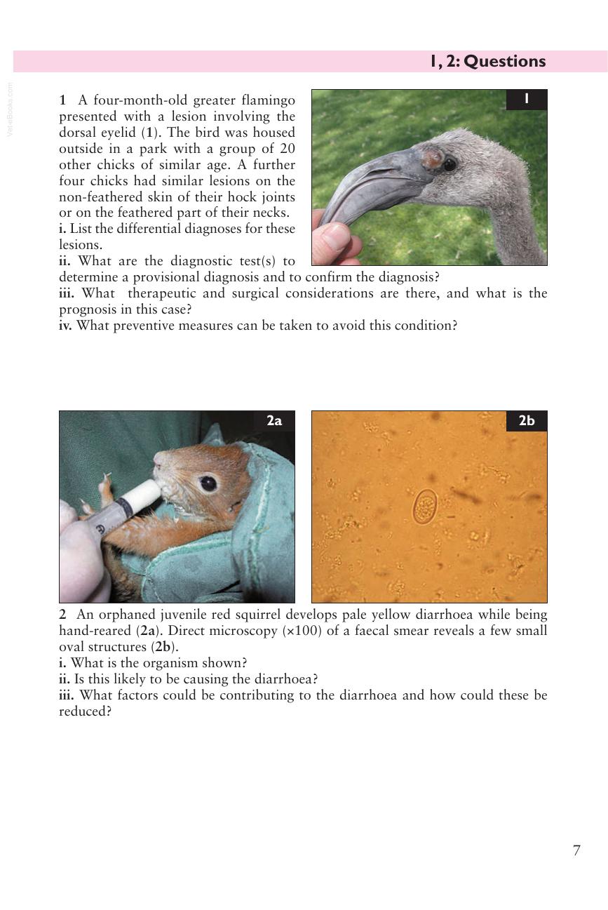 Look inside — page 8