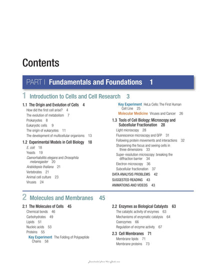 The Cell a Molecular Approach 8th Edition