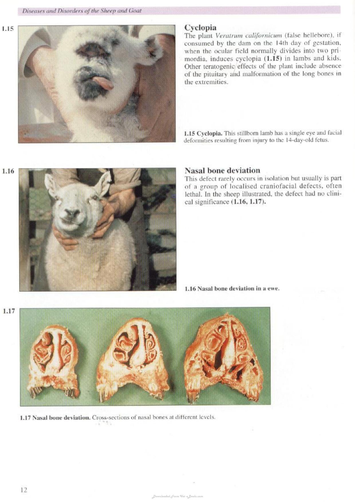 Look inside — page 8