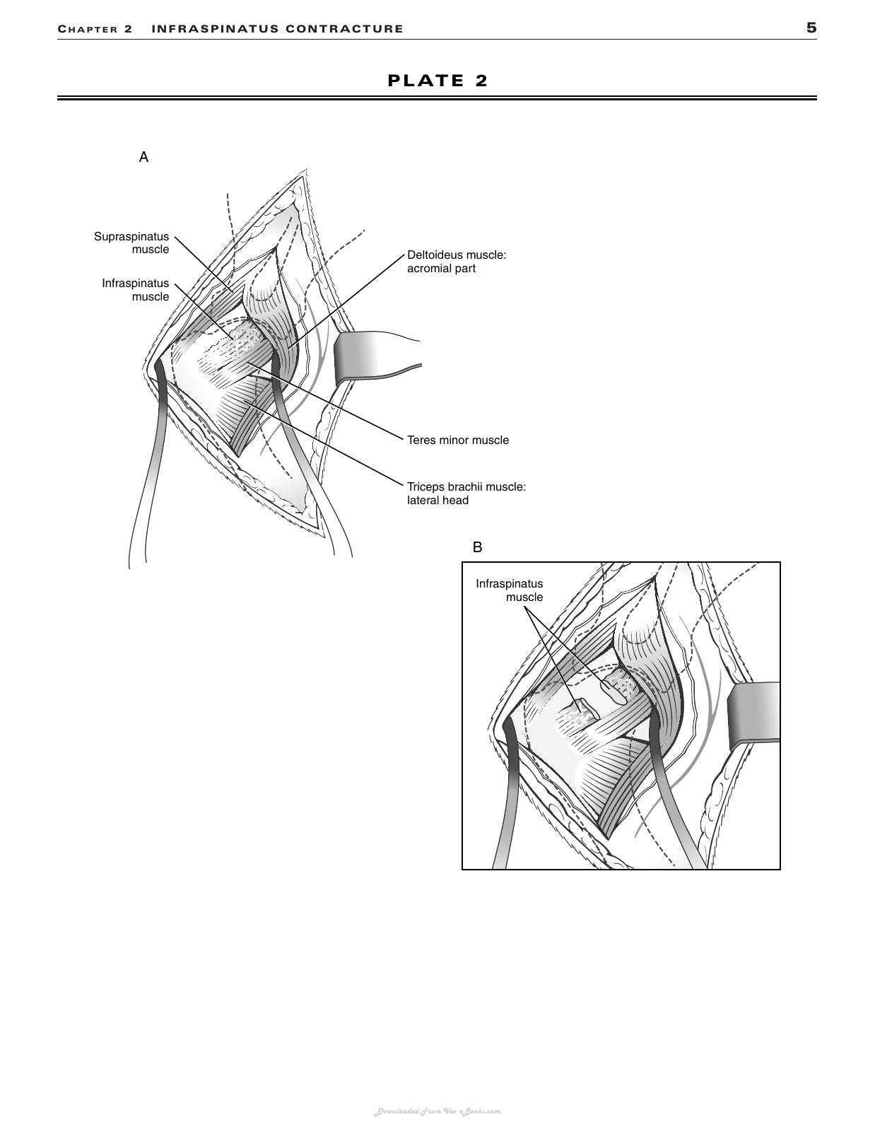 Look inside — page 8