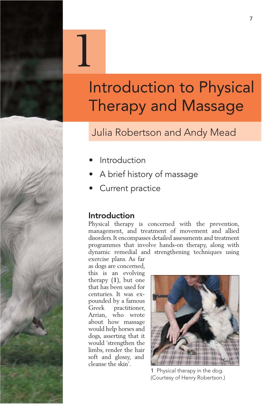 Physical Therapy And Massage For The Dog