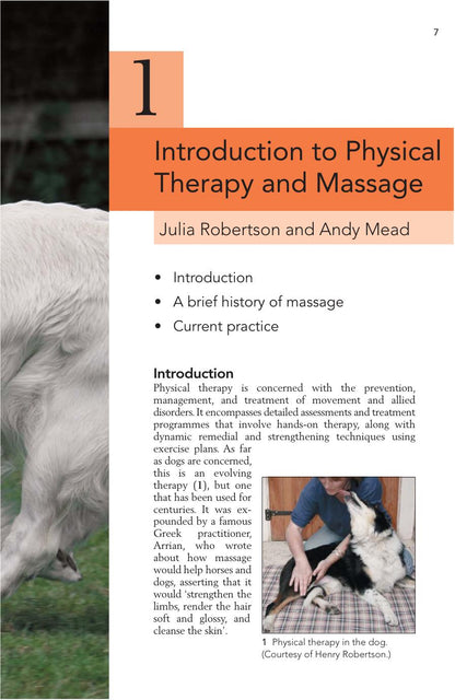 Physical Therapy and Massage for the Dog