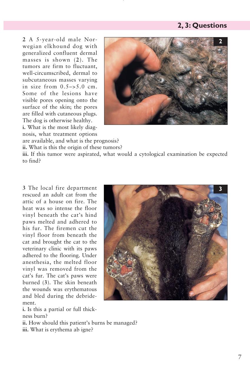 Look inside — page 8
