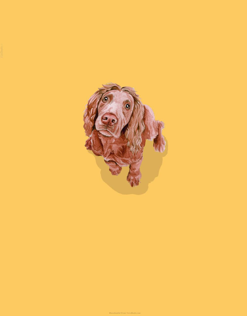 Whats My Dog Thinking Understand Your Dog To Give Them A Happy Life