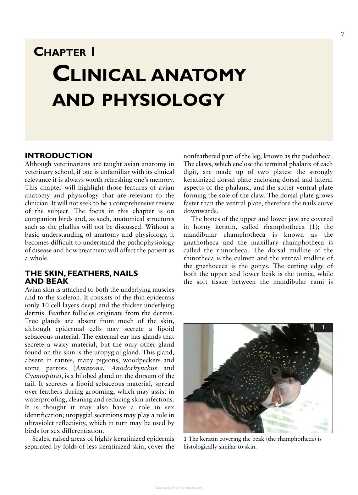 Look inside — page 8