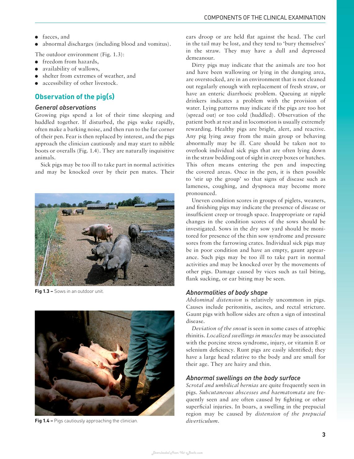 Handbook Of Pig Medicine
