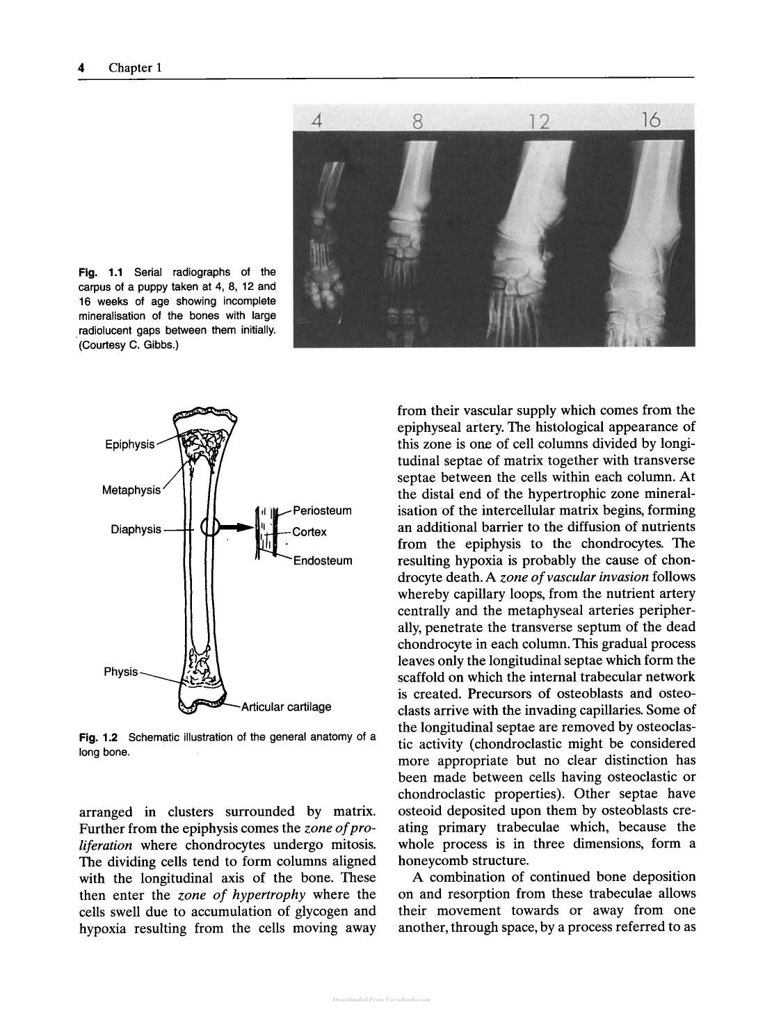 Look inside — page 8